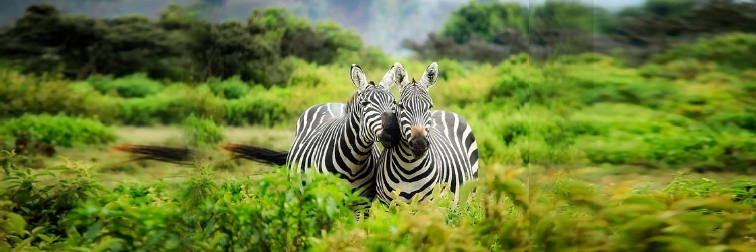 Find Your Special Tour with Us